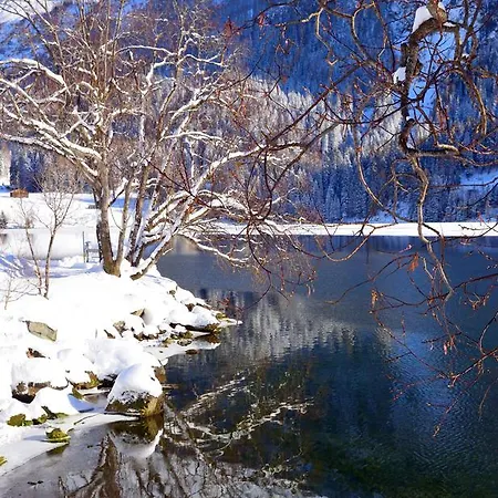 Апартаменти Haus Azalea