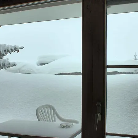 Haus Azalea Апартаменти