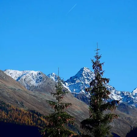 Haus Azalea Appartement *