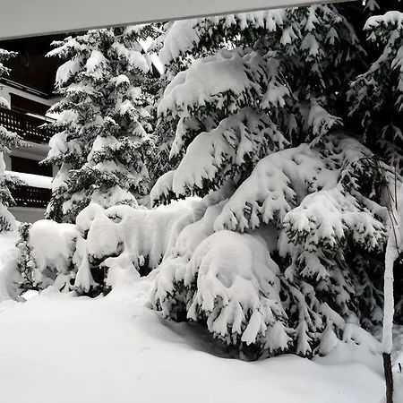Haus Azalea * Davos